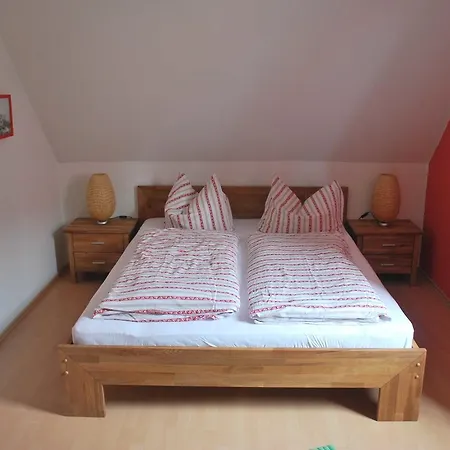 Prázdninový dům Ferienhaus Am Plauer Zislow